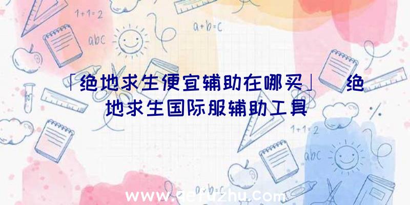 「绝地求生便宜辅助在哪买」|绝地求生国际服辅助工具